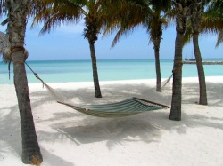 premiere vacation club multi destination timeshare resales multi destination vacation
