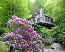 Banner Elk Timeshares North Carolina